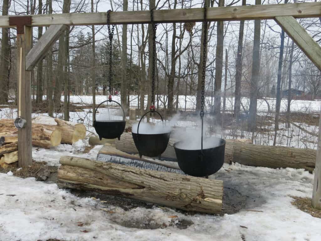 Wooden platform with three steaming cast iron kettles hanging from chains over log fire in wooded area with some snow on the ground.