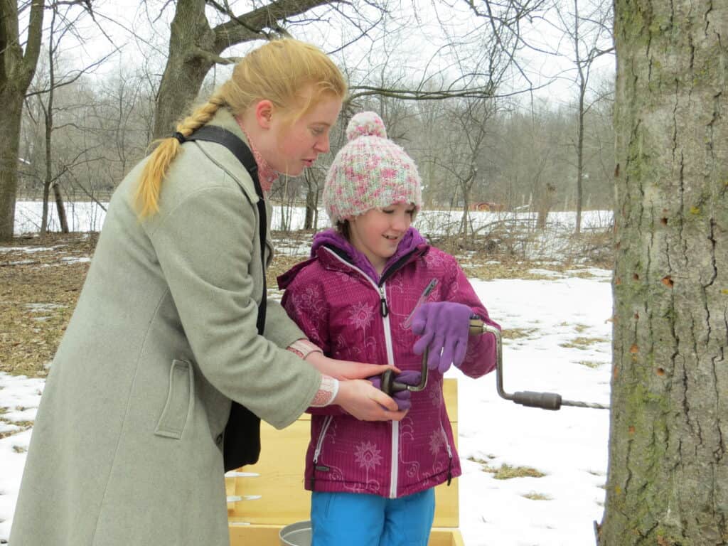 Woman in light grey coat showing young girl in pink coat and hat how to drill a hole in a maple tree with an old-fashioned drill.