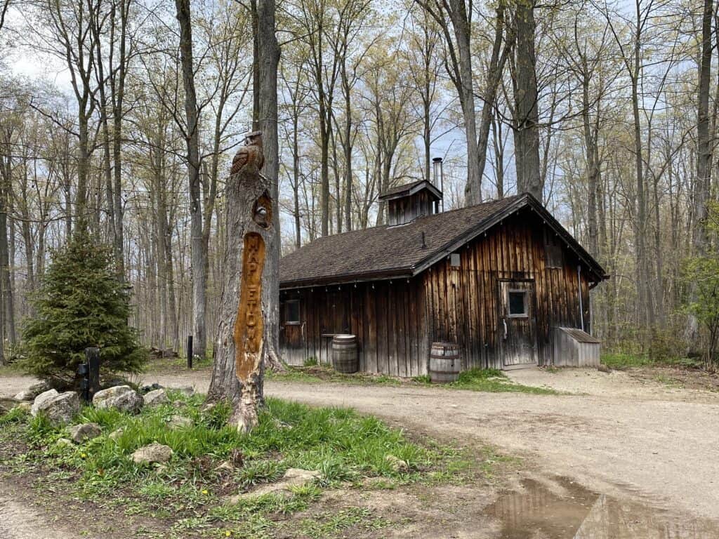 Wooden maple sugar shack set amidst trees with the words Maple Town carved into a tree trunk in foreground at Mountsberg Conservation Area in Halton.