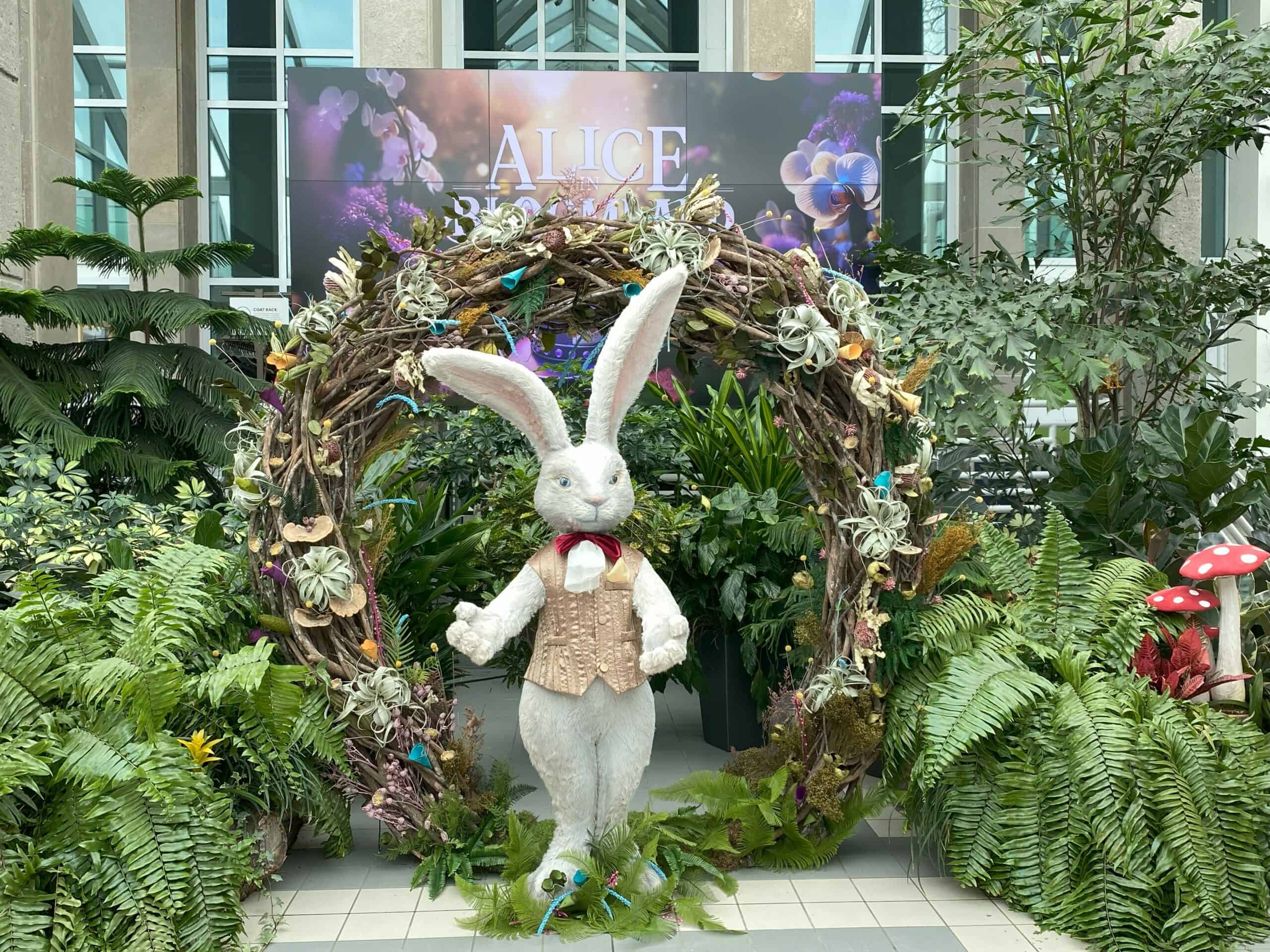 Alice in Bloomland: A Whimsical World of Floral Fun - Gone With