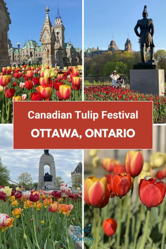 Image for Pinterest - collage of four photos with text overlay reading Canadian Tulip Festival, Ottawa, Ontario.