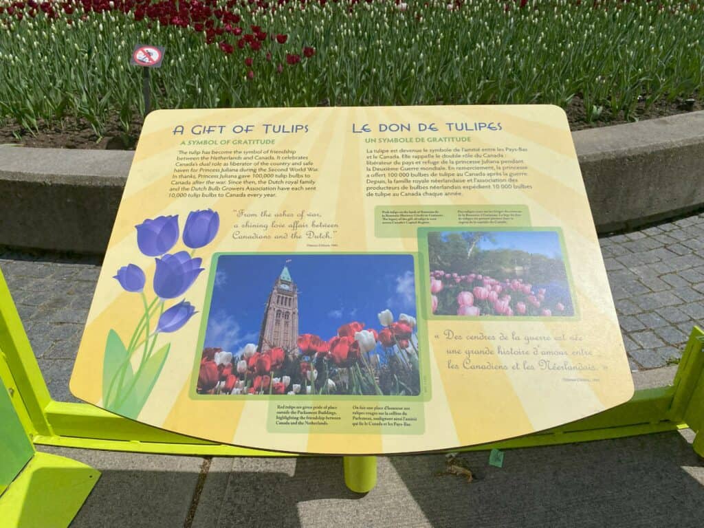 History of the Canadian Tulip Festival on story board display with photos of tulips.