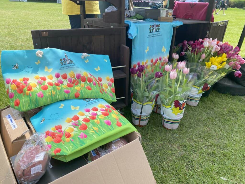 Kiosk at Commissioner's Park with potted tulips and Canadian Tulip Festival branded t-shirts and tote bags for sale.