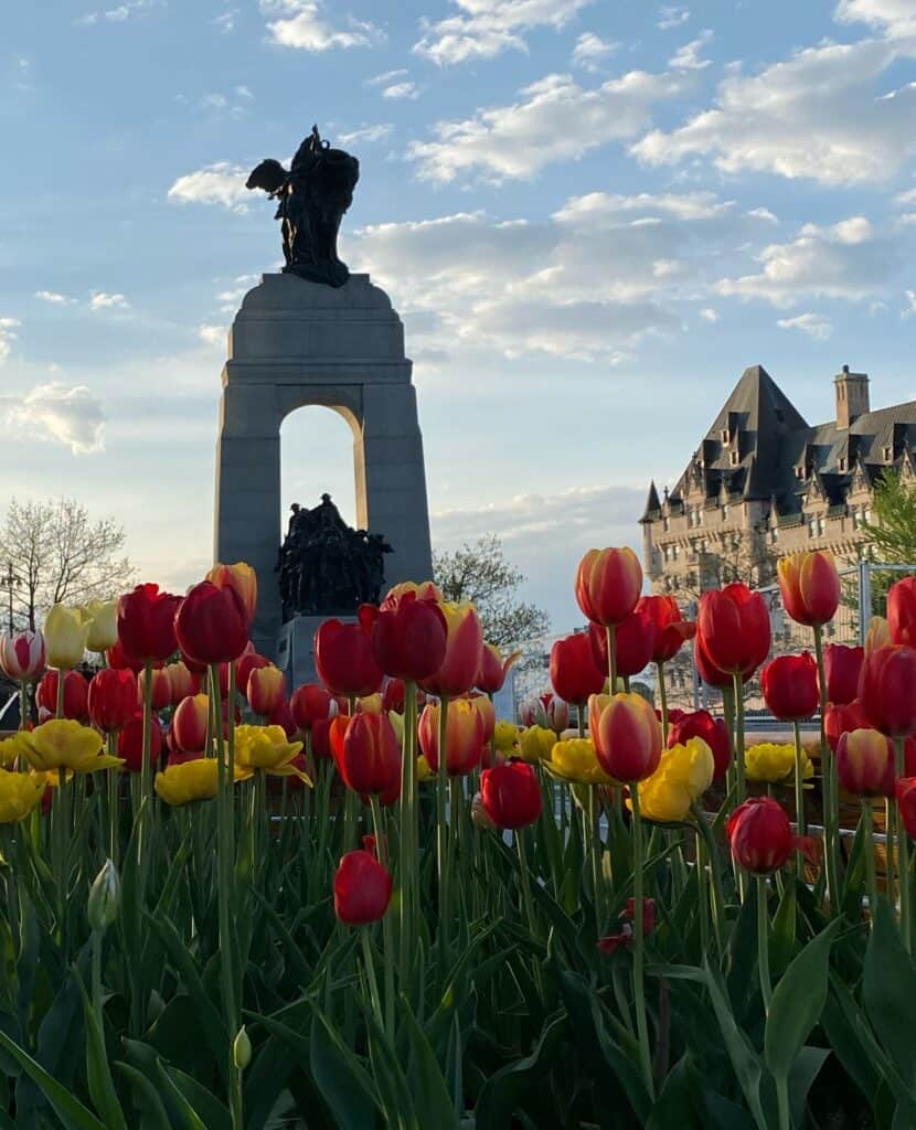 Red and yellow tulips in front of National War Memorial at dusk with Chateau Laurier in background.