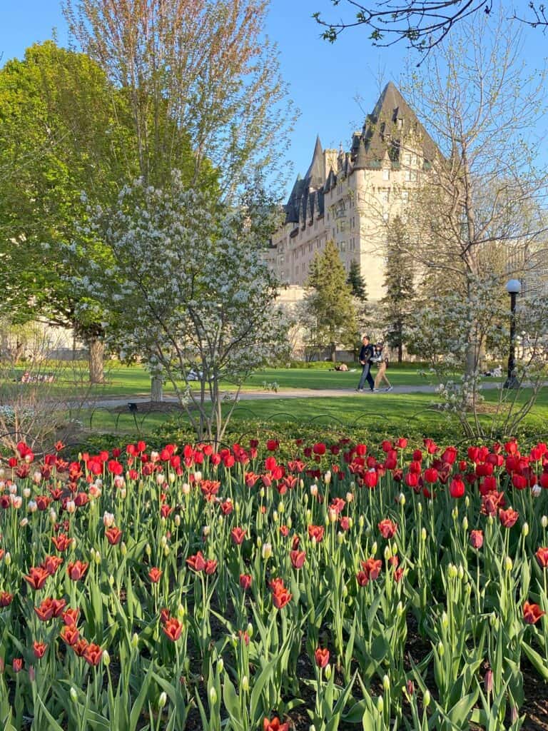 Major's Hill Park during the Canadian Tulip Festival in Ottawa, Canada.