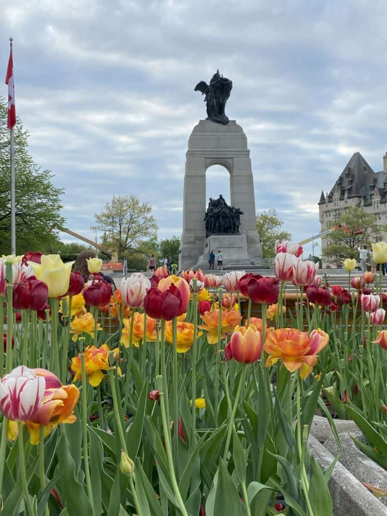 Red, yellow, orange, pink and white tulips in front of National War Memorial with Chateau Laurier in background.