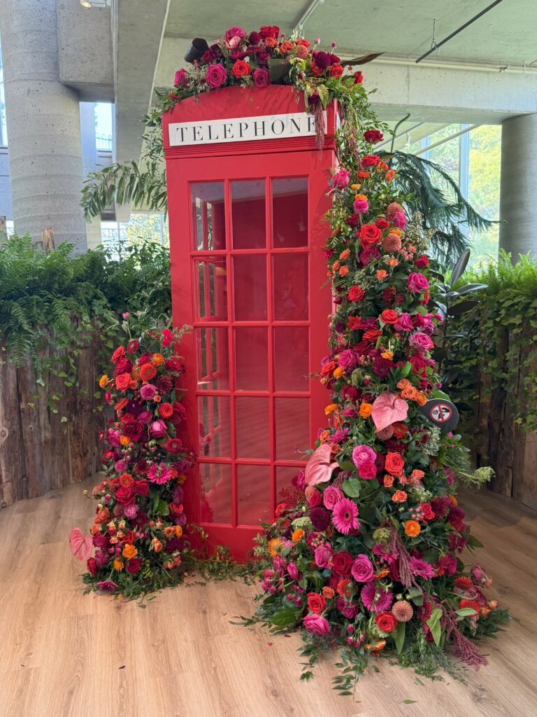 red English phone booth covered with red and dark pink roses, gerbera daisies and other flowers.