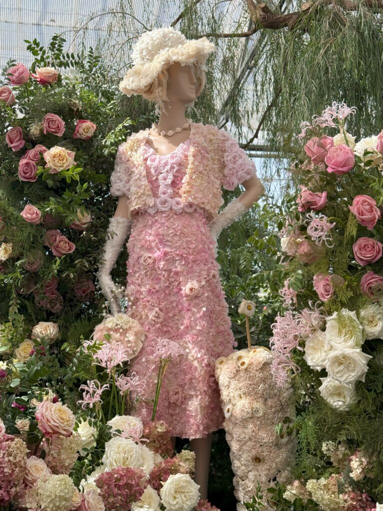 RBG - Fleurs de Villes: Downton - Lady Edith Crawley in shades of pink gown surrounded by pink and cream roses.