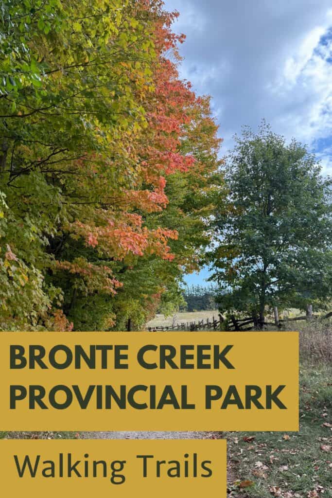 Pinterest image with fall trees alongside dirt path and text overlay reading "Bronte Creek Provincial Park Walking Trails".