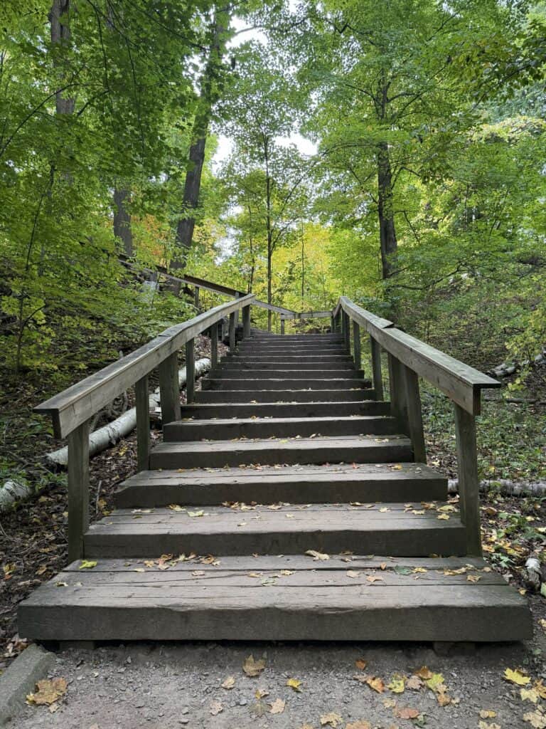 wooden staircase in forested area.