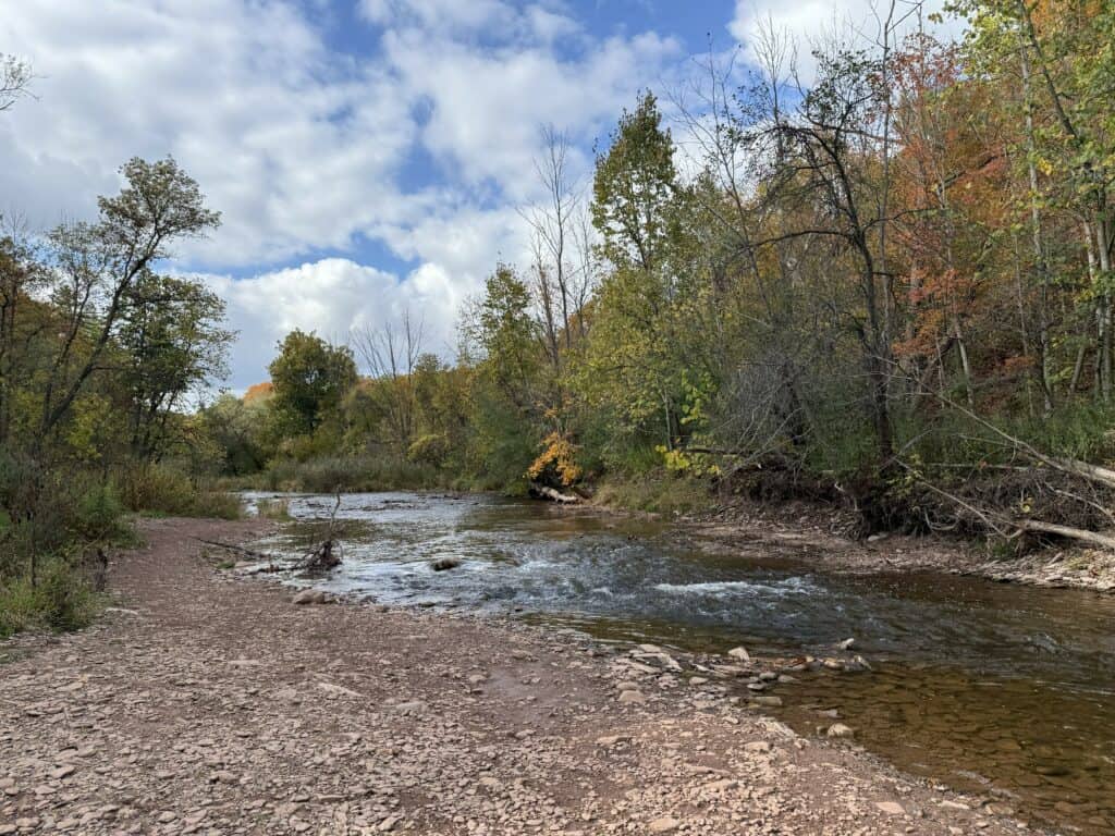 creek running through forested area - blue sky and fluffy white clouds.