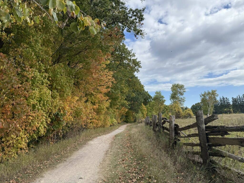 walking path with wooden fence on one side and trees with colours starting to change on the other.
