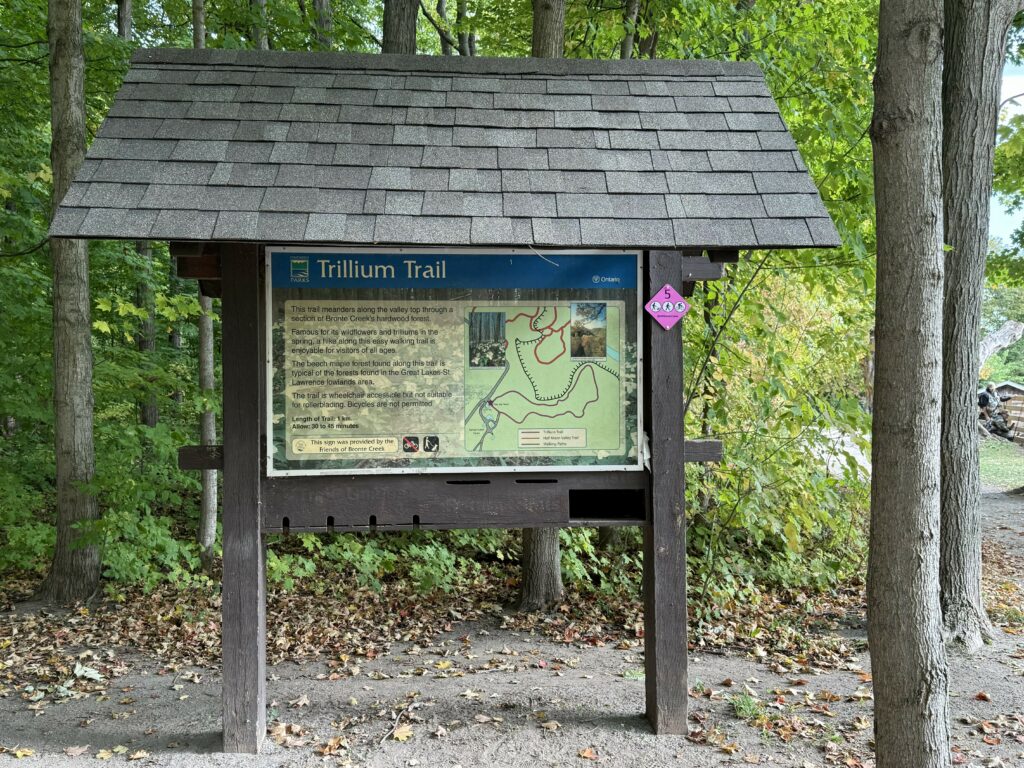 information board for Trillium Trail at Bronte Creek Provincial Park.