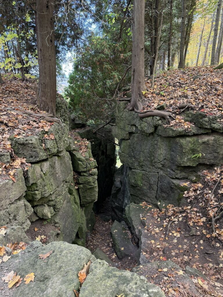 rock caverns with fall leaves on ground