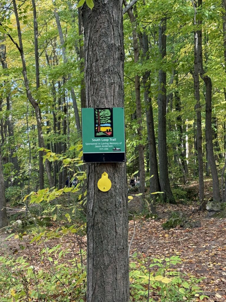 Mount Nemo Conservation Area - South Loop Trail sign and yellow direction marker posted on a tree in forested area.