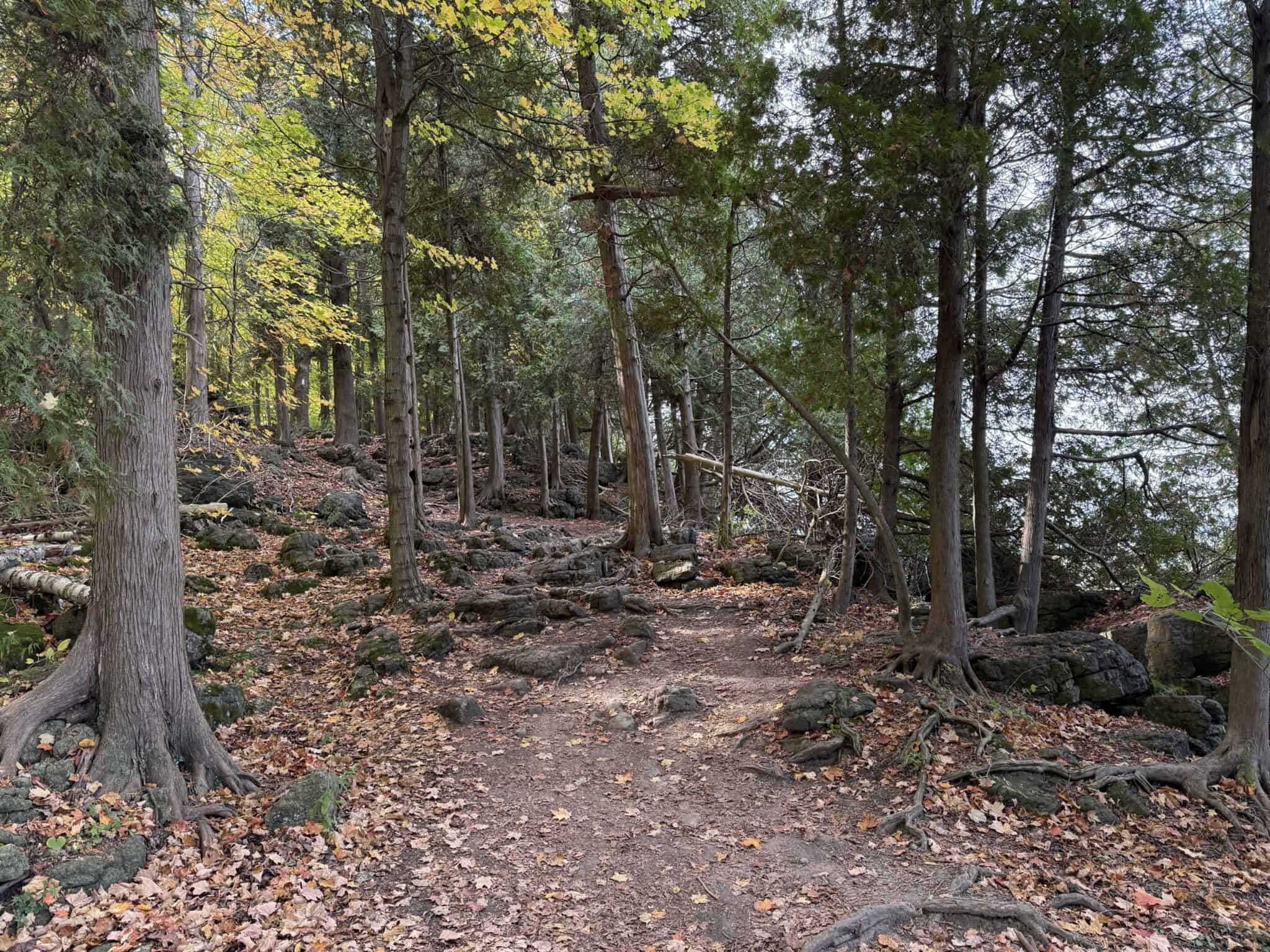 Hiking and Spectacular Views at Mount Nemo Conservation Area - Gone