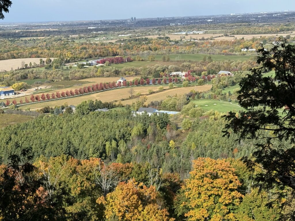 view of countryside from Mount Nemo with some fall colour