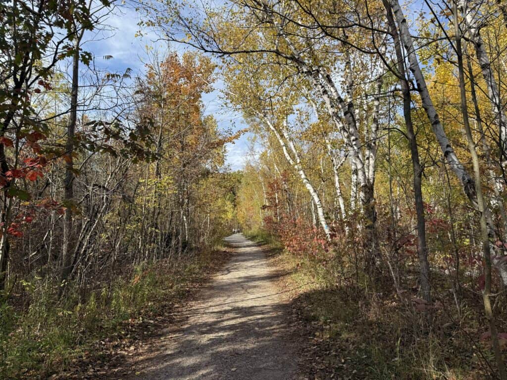 Mount Nemo Conservation Area - dirt trail in forested area with trees on either side - some with fall colour.