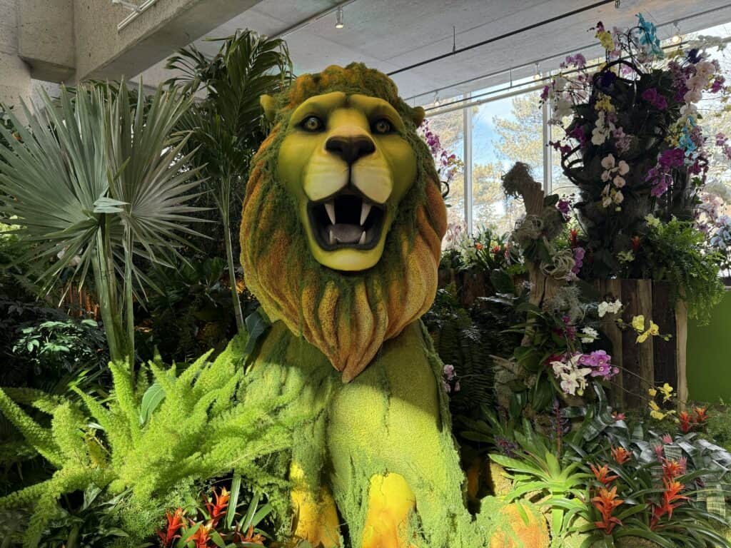 lion surrounded by greenery and flowers - bloomland in oz at the rbg.