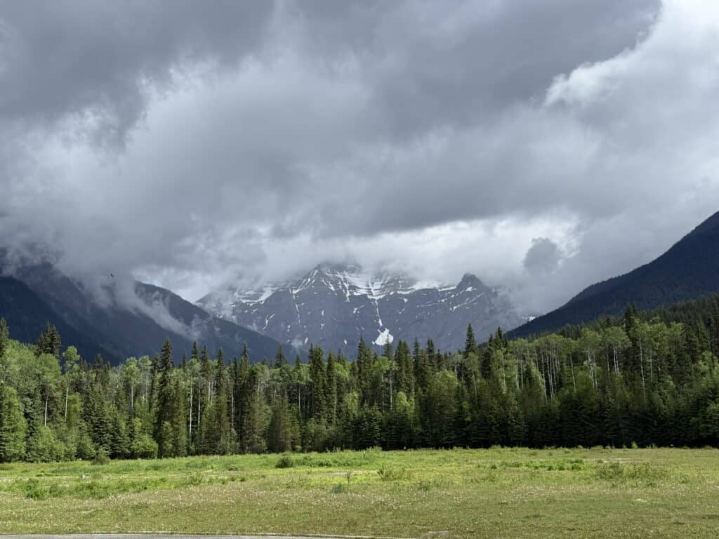 evergreen trees in foreground and snow-capped mountain in background with peak obscured by low-haning grey clouds.