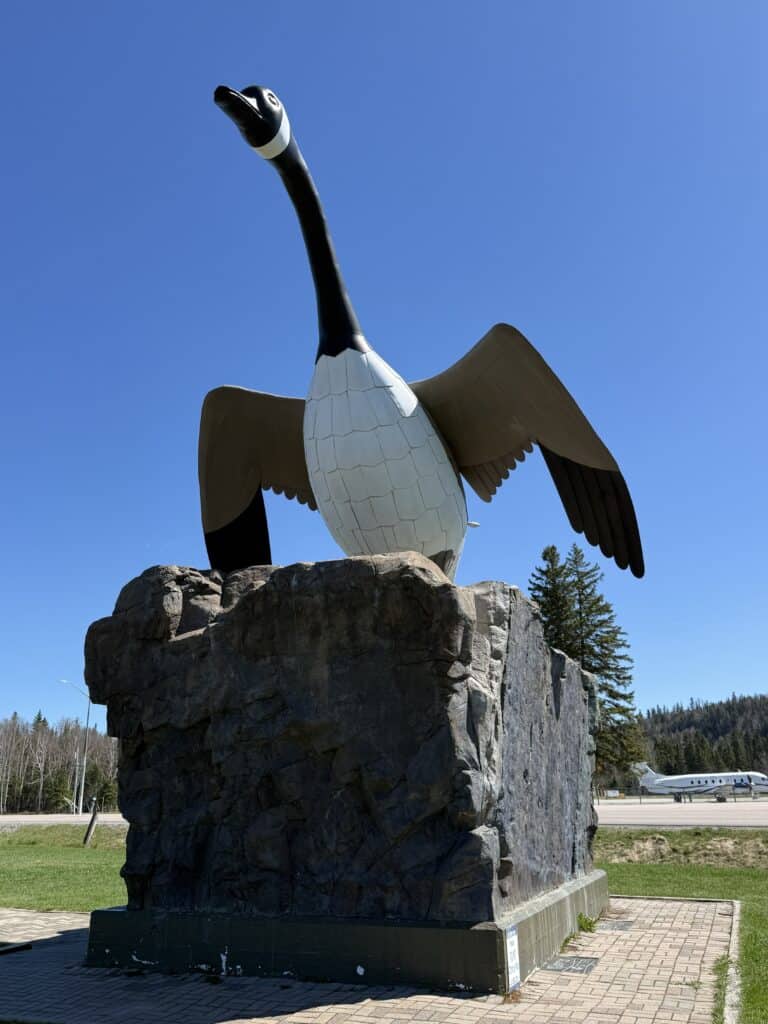 Wawa Goose roadside attraction - large statue of black and white Canada Goose on rock.