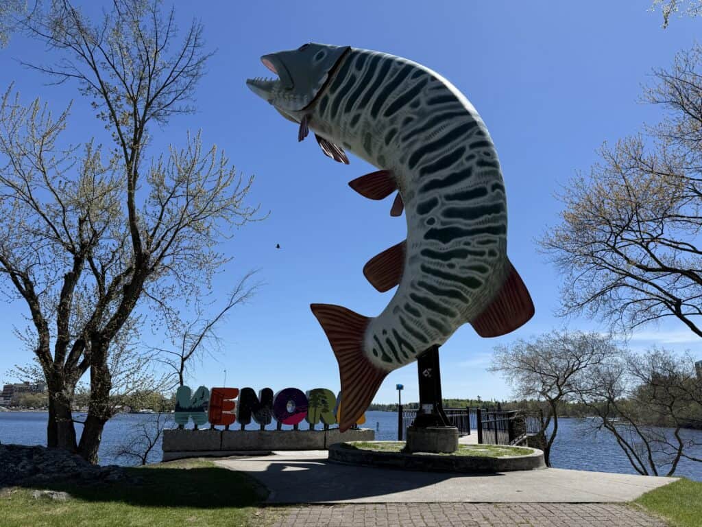 large sculpture of black and white striped fish with red fins and tail in front of multi-coloured "KENORA" sign with lake in background.