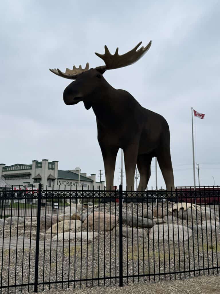 large moose sculpture outside Moose Jaw Tourist Information on overcast day