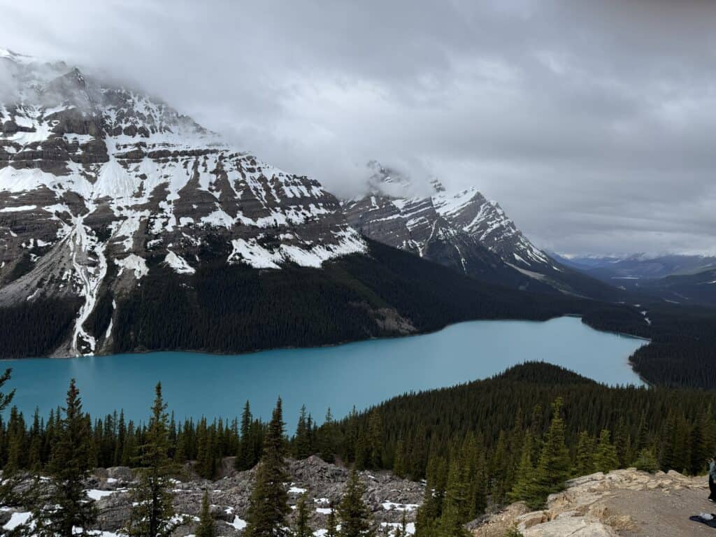Peyto Lake - blue/green lake shaped like dog with snow-capped mountains and low-hanging clouds on overcast day.
