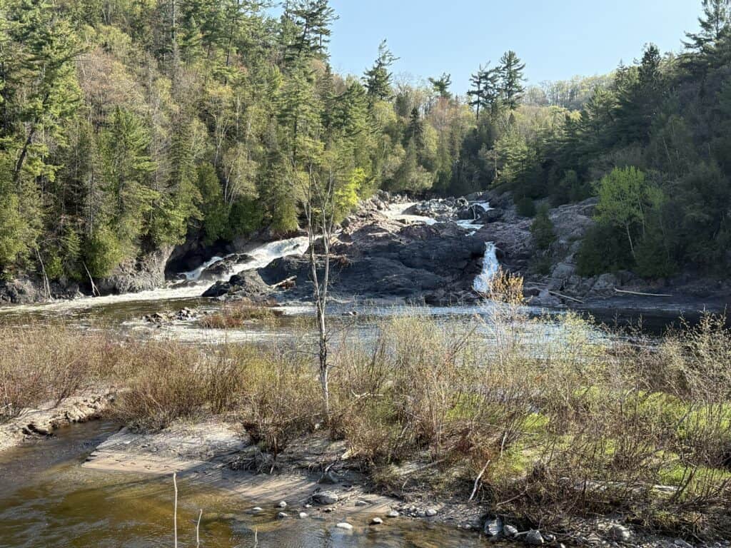 waterfalls surrounded by evergreen trees.