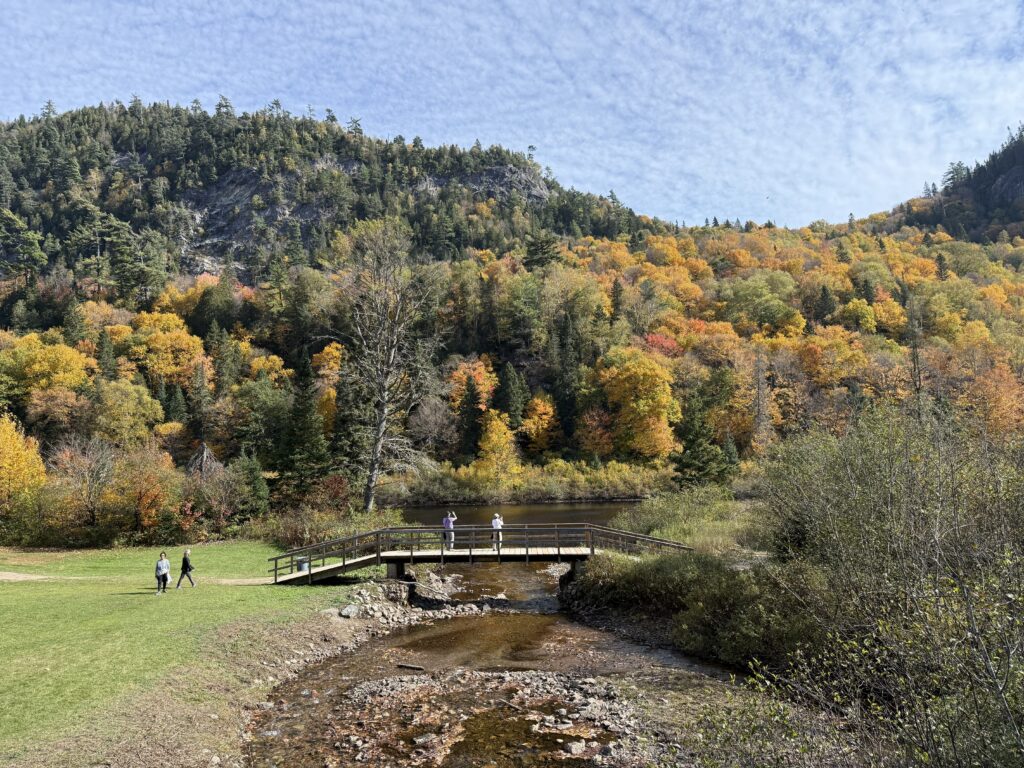people walking on grass and people standing on small wooden footbridge over stream with wooded area in the background that has some fall colour.