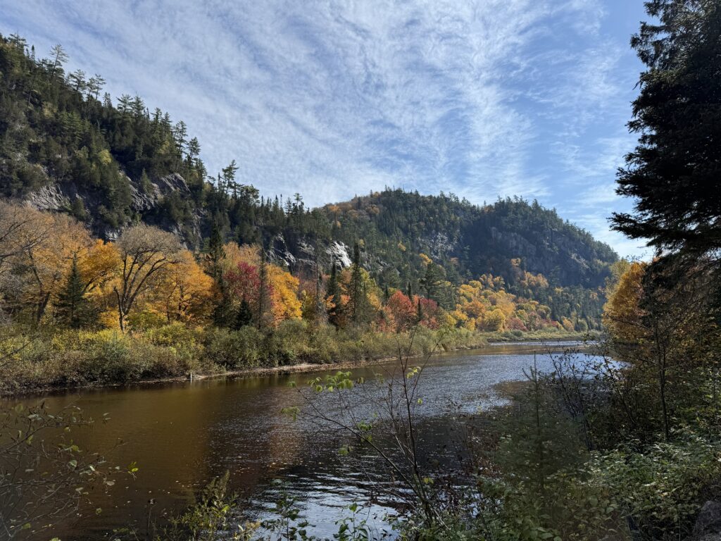 wooded area along a river with some trees with orange leaves and a bright blue sky with wispy white clouds.
