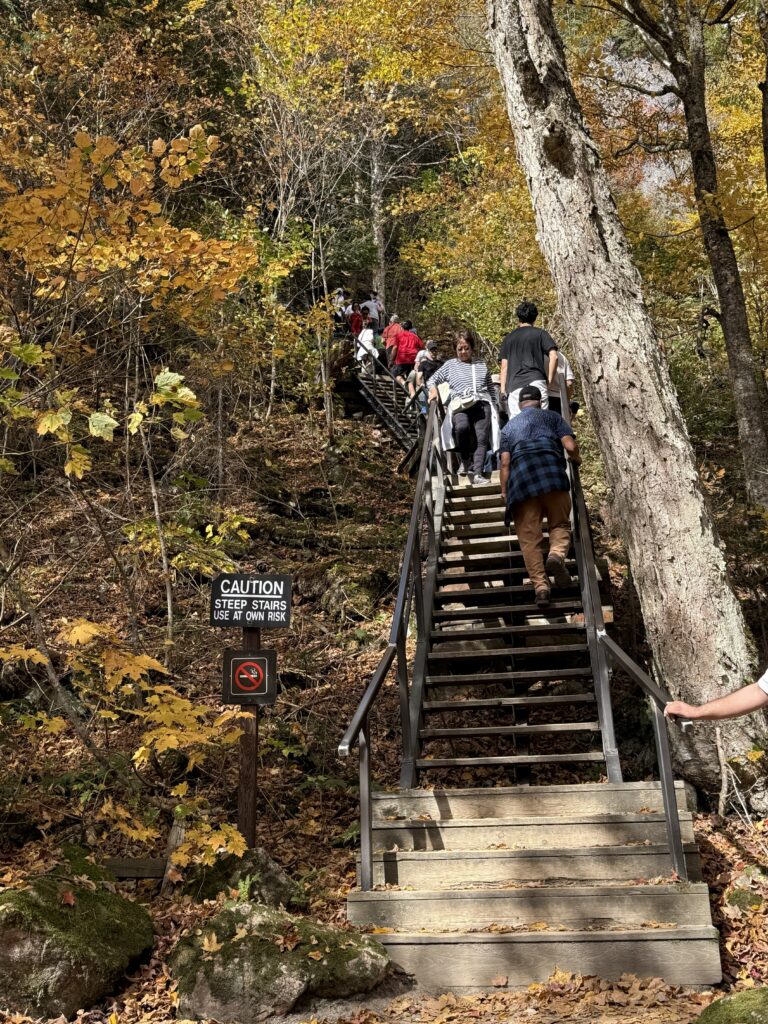 people climbing up and down wooden staircase on trail through woods.