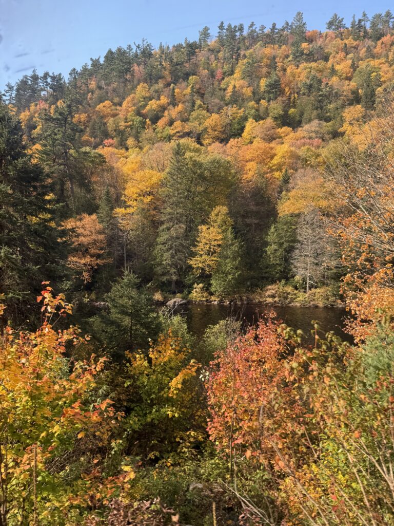 fall trees near lake approaching Agawa Canyon park.