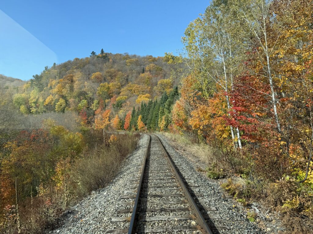 train tracks through wooded area in fall with some orange red and yellow foliage.