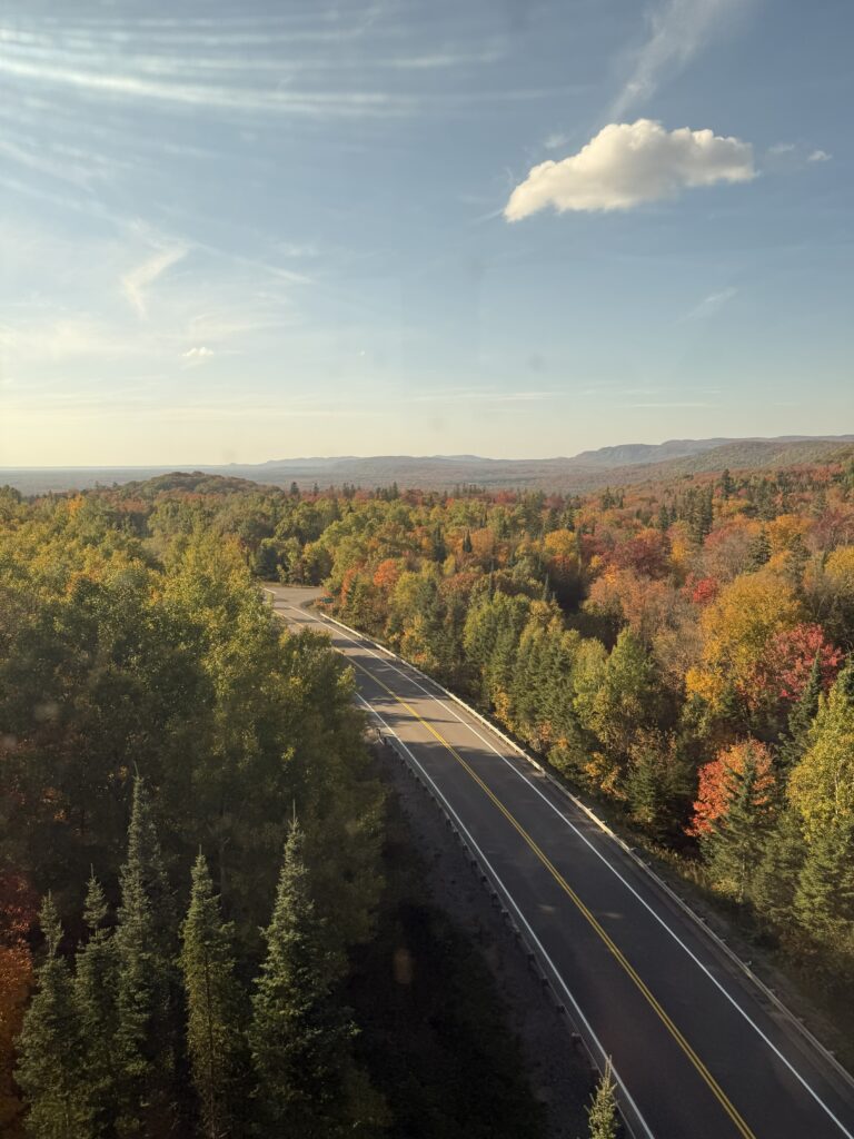 view from train looking down at two lane highway through forested area with some trees with orange and yellow leaves.