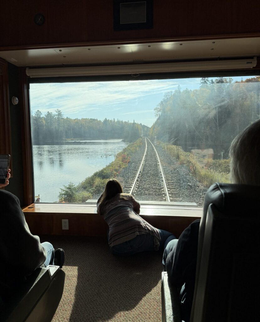 woman sitting on floor looking out large window at rear of train with tracks receding in the distance alongside lake and wooded area.